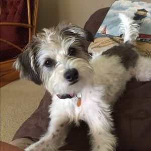 Meet your Posher, Laura